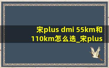 宋plus dmi 55km和110km怎么选_宋plus dmi 55km值得买吗